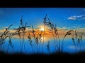 Melodic Progressive House mix Vol 87 (Searching For Sunrise)