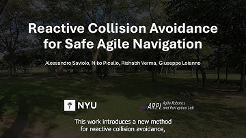 Reactive Collision Avoidance for Safe Agile Navigation