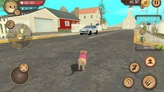 Cat Sim Online: Play with Cats Android Gameplay Ep 31 Cat Sim Online: Play with Cats Android Gameplay Ep 31