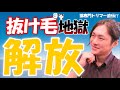 【抜け毛地獄からの解放!!】たったコレだけで猫の「抜け毛」が変わる！？ブリーダーが抜け毛の対策と予防方法を教えます！