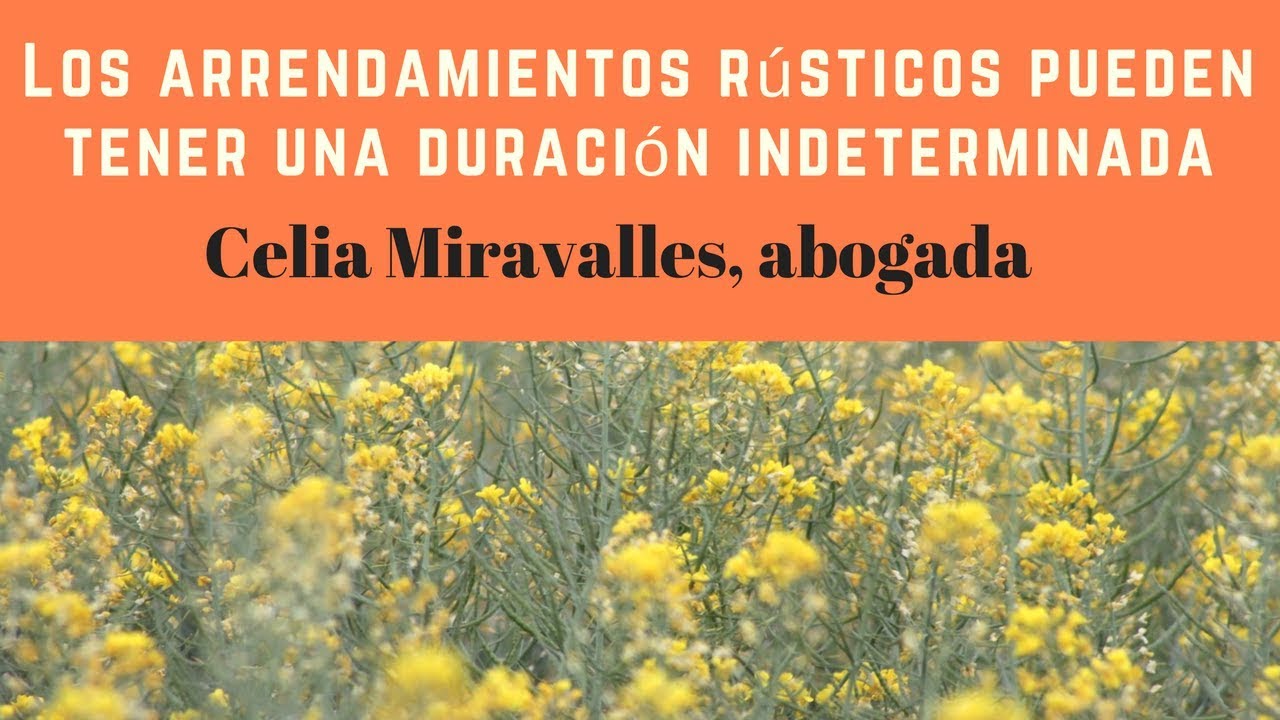 "Los arrendamientos rústicos ¿pueden tener una duración indeterminada?"