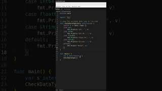 Check Variable type runtime in Golang @m-coders