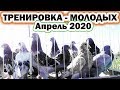 Тренировка молодых голубей турков (метисов) Апрель 2020