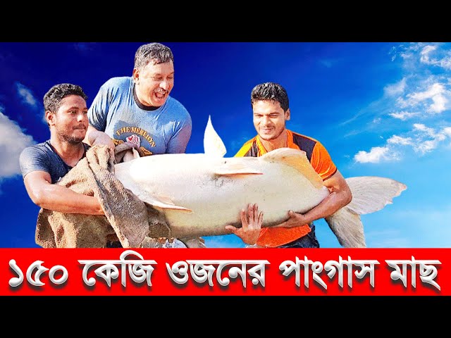 Porno sargish cums yilda mushuk Aletta Okean uzoq xorozni soradi va ochiq havoda chiroyli tarzda sikiladi