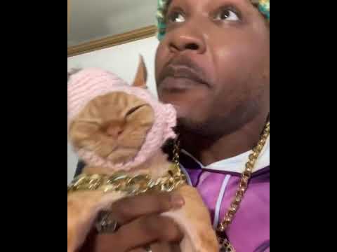 Dj Ravioli Cat Sicko Mode Freestyle