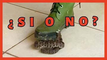 ¿Pueden las serpientes morder las botas militares?