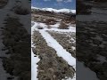 views of square top and mount bierstadt from the geneva mountain trail.