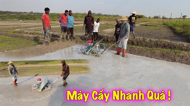 Linh Philip || Lần Đầu Tập Sử Dụng Máy Cấy Trong Việt Phi Farm !