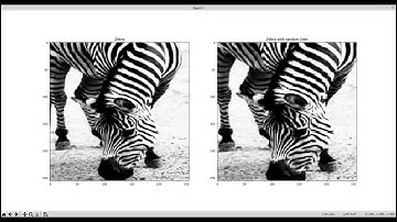 how to Cycle-Consistent Adversarial Networks