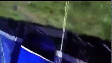 I’ve been stung by a wasp auto tuned