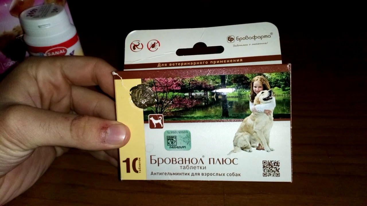 a package from Armenia!Carrefour snacks for dogs,SANAL vitamins for puppies,Брованол плюс antiworms.