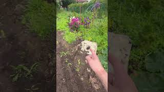 Почему цены на демонтаж и вывоз мусора разные? #достоевский #ремонт