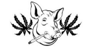 WEED HOGS #25