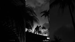 Shadow Man