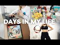 VLOG: balancing work/healthy lifestyle, whole foods grocery haul + unboxing ring fit adventure