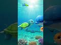 Zen Meets New Friends Zevo &amp; Zippy | Cute Turtle Ocean Story for Kids