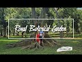 Peradeniya Royal Botanical Gardens. Ботанический сад Шри-Ланки. Встретили змею! Летающие лисицы.