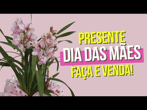 Vídeo: Flores tradicionais para o dia das mães: escolhendo flores para o dia das mães