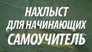 видео ОТЦ, самоучитель