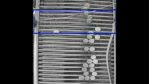 Egg counter based on a regular surveillance camera. 100% counting accuracy