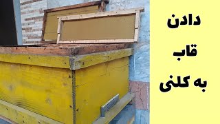 آموزش زنبورداری : چطوری به کلنی قاب بدیم و زنبور زودتر ببافه + نکات مهم