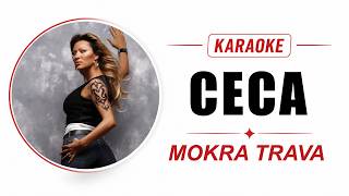 CECA– MOKRA TRAVA (Karaoke) 🎤 | Instrumental   Lyrics | Balkan Karaoke