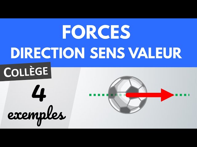 FORCE : direction, sens, valeur : quelles différences ? | Collège | Physique-Chimie