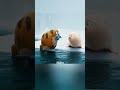 What Happens When Seals Fall in Love?