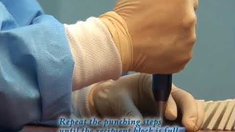 Manual tissue microarrayer(Quick Ray)