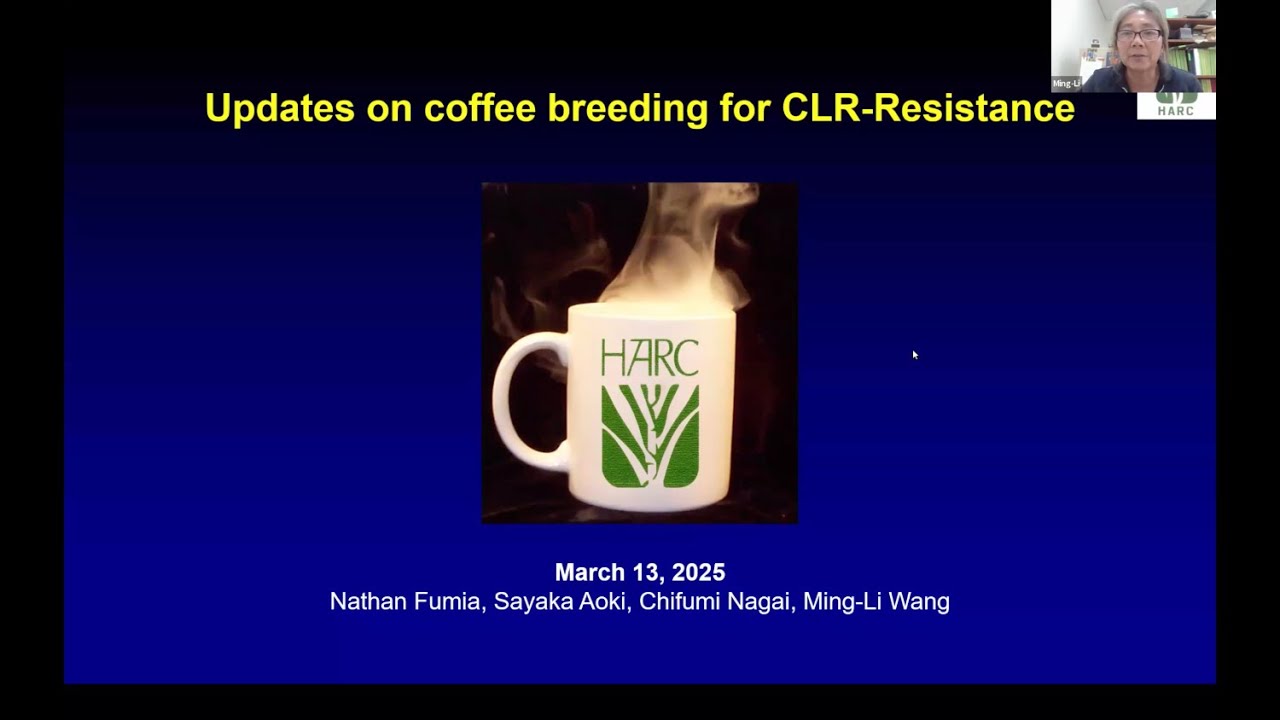 Updates on Coffee Breeding for CLR-Resistance