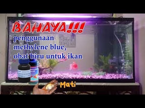 Video: Apakah metilen biru berbahaya?