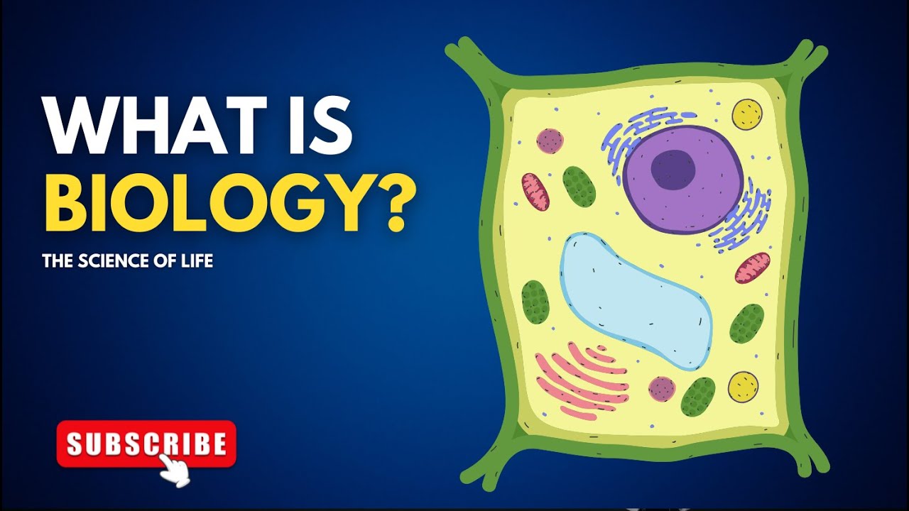 Что такое биология? || Введение в биологию | Основные разделы биологии, 9 класс || Биологический ...