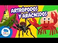 Conociendo a los Artrópodos y Arácnidos