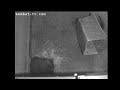 2020/05/12　Wombat 24 hours live camera (ウォンバットライブカメラ)