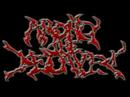 Lich Video