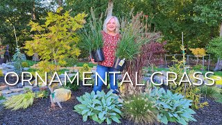 10 Perrenial Grasses! Ornamental Grass for your Garden Year Round Interest, Low Maintenance, Privacy