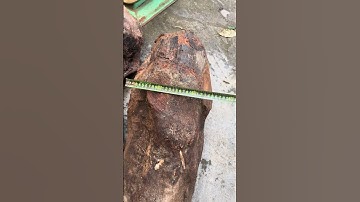 GL gốc hương đá krôngpa chun sần 48kg đục tiện đều OK ạ giá lh:0338.918.991 TGQ