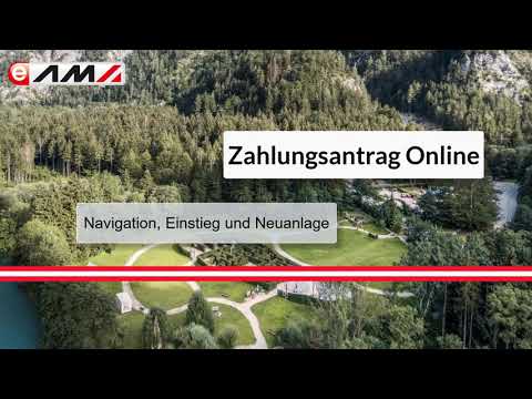 Grundlagen und Anlegen des Zahlungsantrages Online