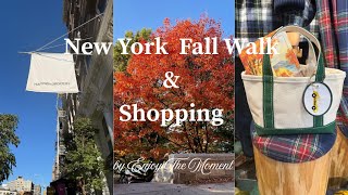 Vol. 3Nyc Walk C Street - L.l Bean Pop-Up - Riverside Park Hidden Gems & Fall Vibes