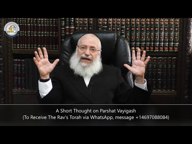 A Short Thought on Parshat Vayigash | by Harav Asher Weiss Shlit"a