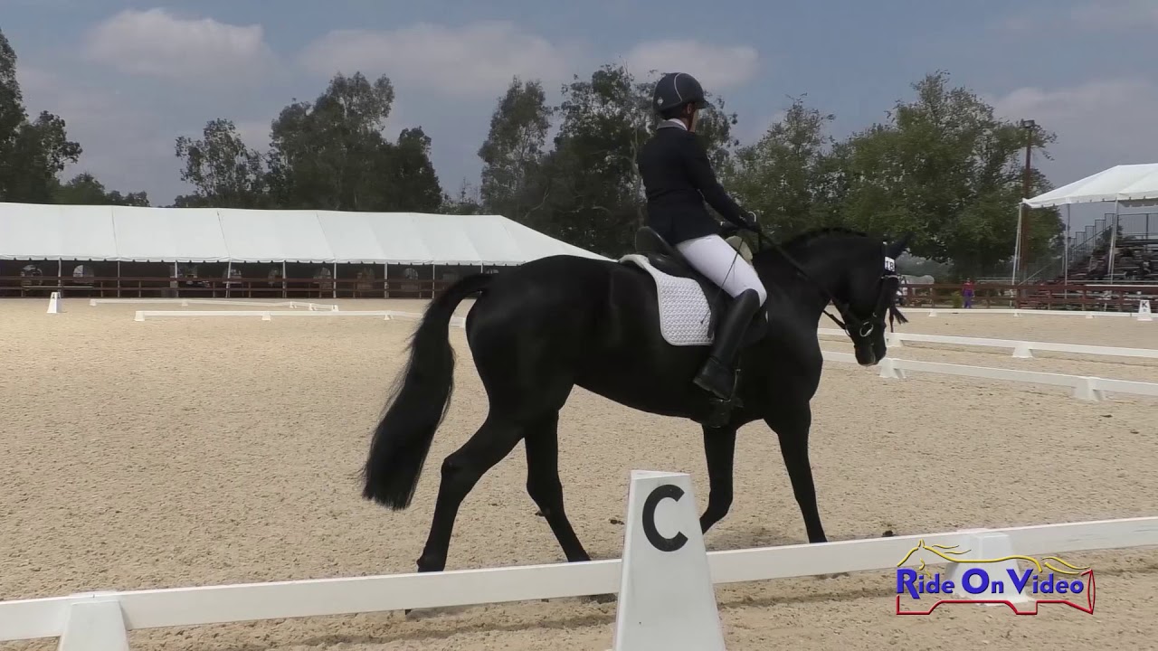 downs sims 018D Erin Kellerhouse on Reverie GWF Open Novice Dressage Galway Downs May 2019