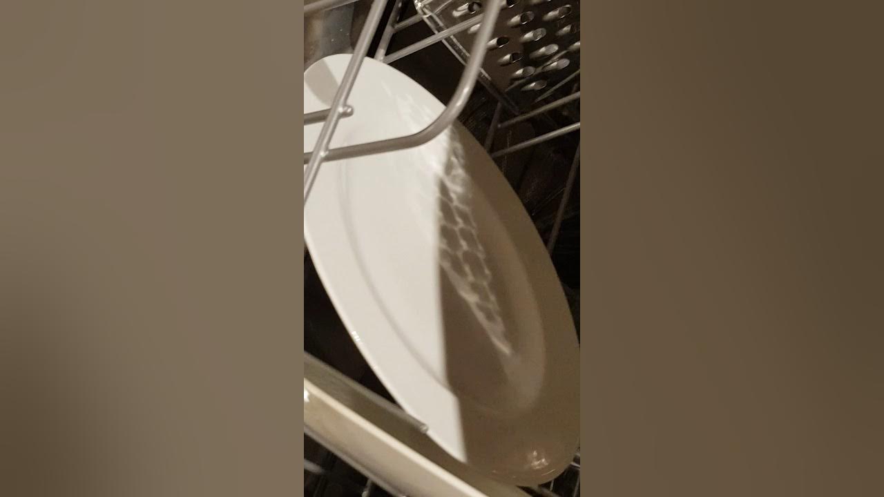 Mouse in Dishwasher YouTube