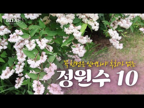 꼭 한번은 심어봐야 후회가 없는, 튼튼하고 관리가 편하고 예쁘기까지한 #정원수 추천 10!