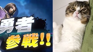 スマブラの新キャラがドラクエ勇者だった時のぽこ太郎の反応が魔王だった。