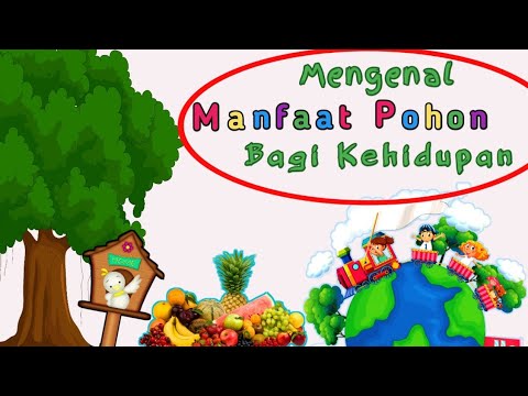 Mengenal manfaat pohon bagi kehidupan (ANAK - ANAK WAJIB TAHU)