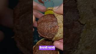 कैथाची चटणी😘#कैथाकीचटणी#बेलकीचटणी#कवठाचीचटणी#woodApplechutney#shorts#trending#viralvideo#foodie