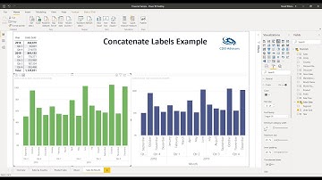Learn What Power BI Concatenate Labels Does  & How to Improve Your Reports | MyPowerBITraining.com