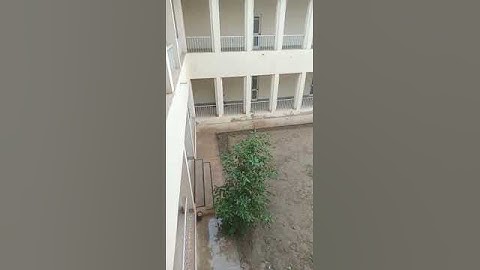 Raining in BZU uni Multan ♥️💯💯