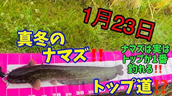 冬のナマズ釣り Youtube