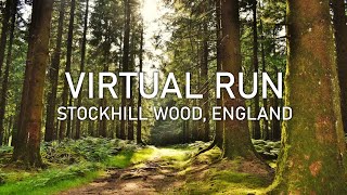 Virtual Run | Stockhill Wood in Summer | Mendip Hills | 4K POV Treadmill Scenery